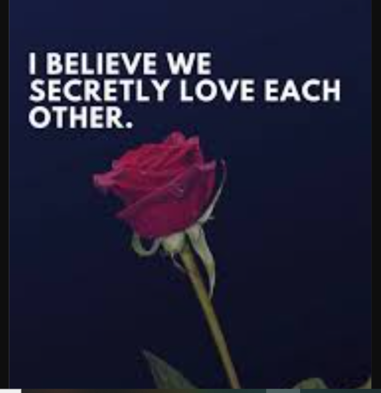 An image of the relationship secret love quotes